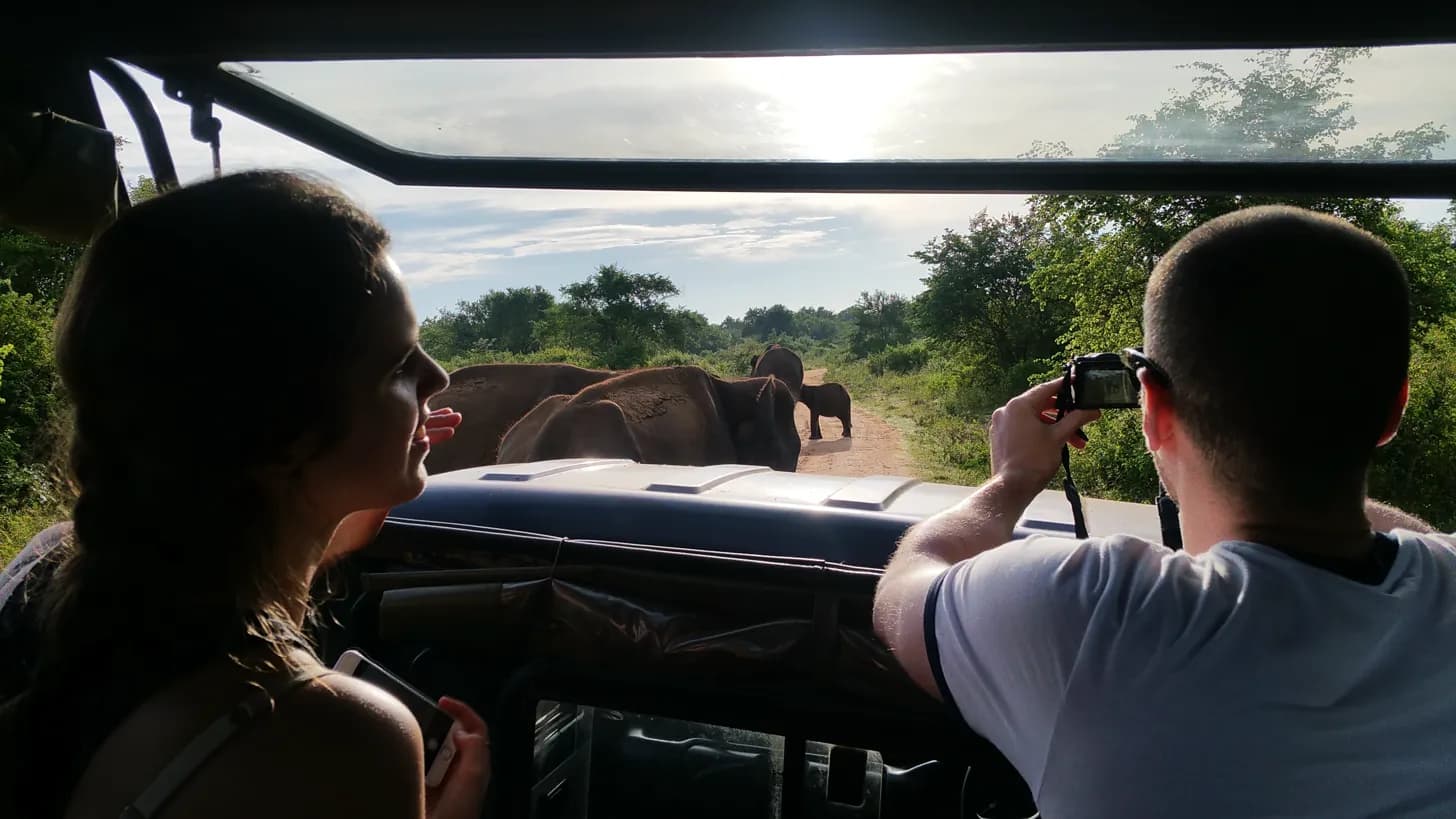 Wild Encounters
