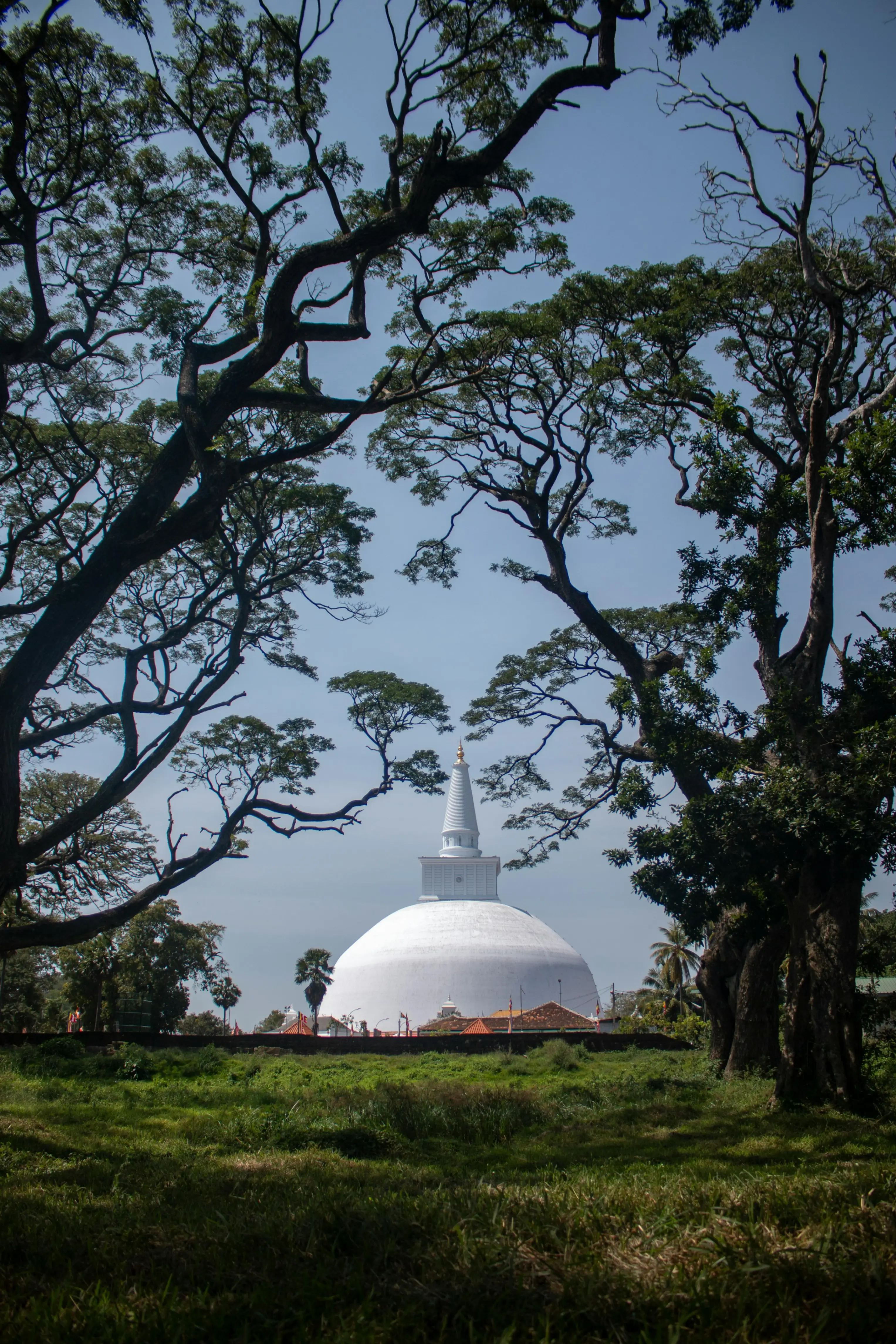 Ancient stupas and ruins at the sacred city of Anuradhapura at sunset