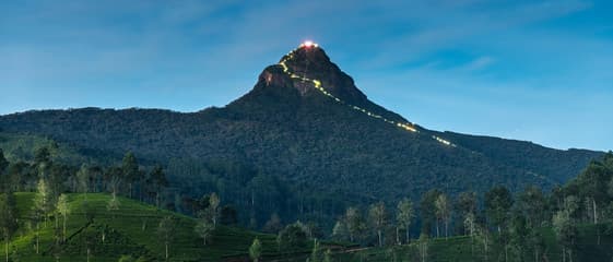 The lit pilgrimage stairway winding up Adam's Peak at dusk, seen across the tea plantations below