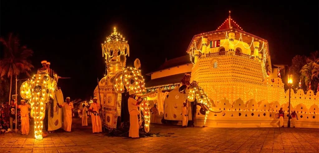 Elaborately decorated elephants and drummers in the Kandy Esala Perahera night procession