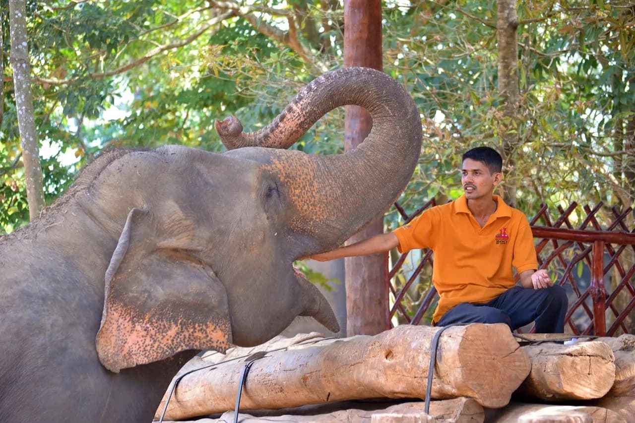 Udawalawe National Park image