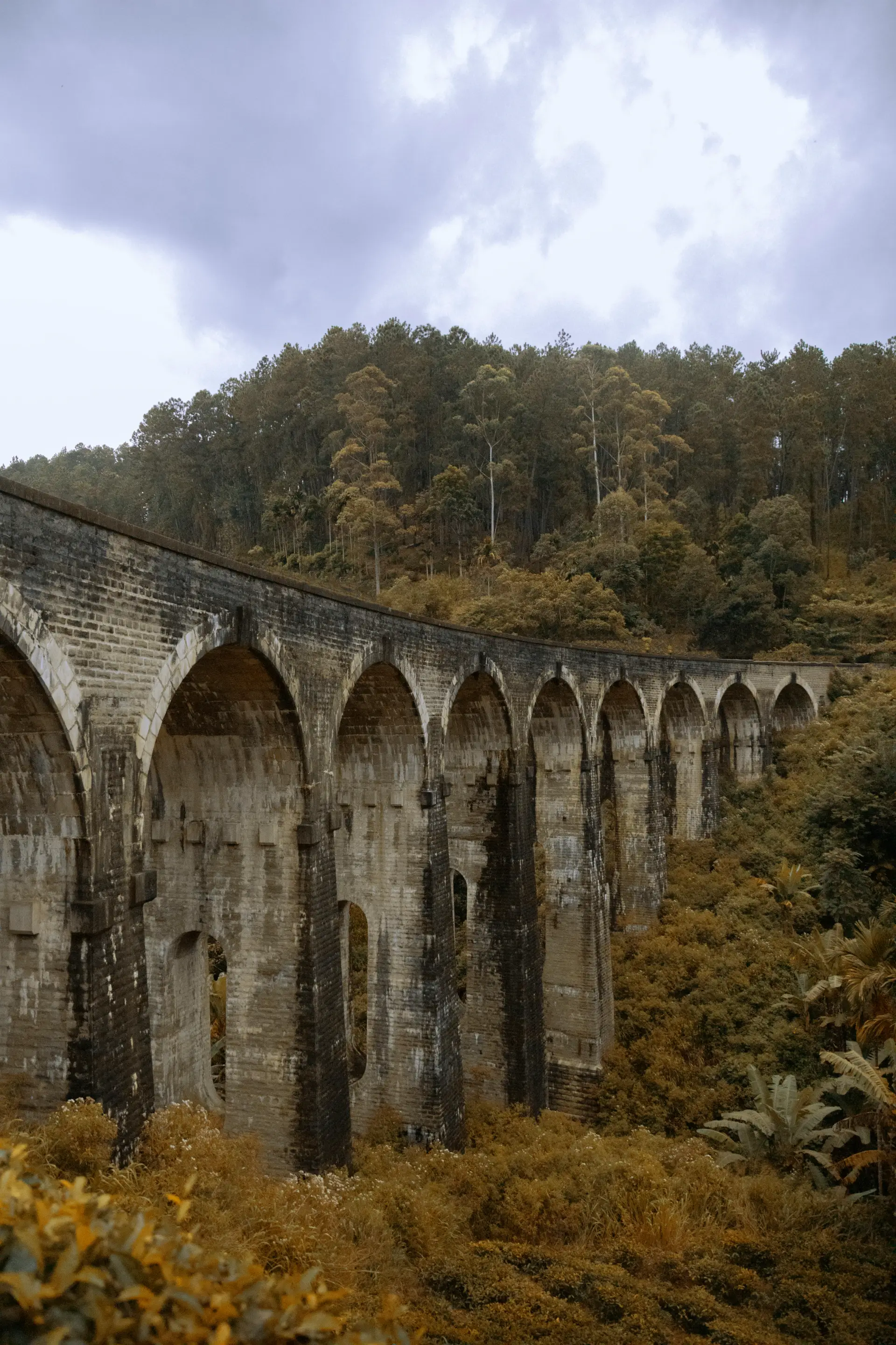 Ella – Scenic Train Ride from Nuwara Eliya image